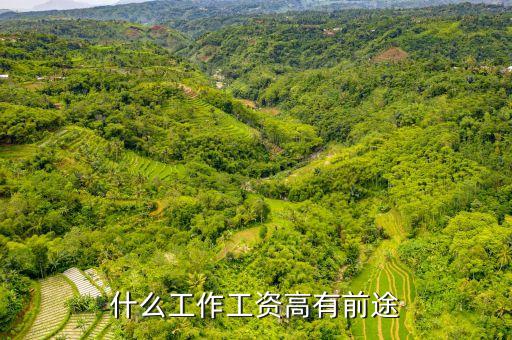 德勤a1是什么意思，什么工作工資高有前途