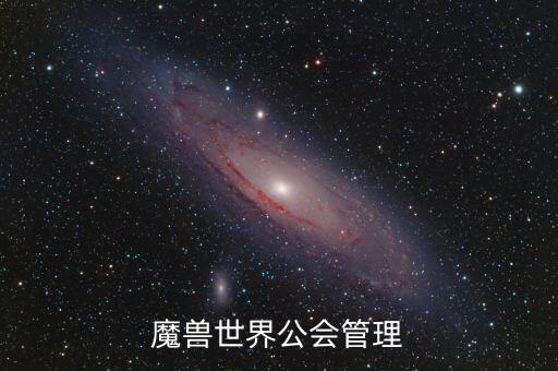 什么是雙ceo制，PIS可以把BURNING趕跑C位試問還有誰可以做到