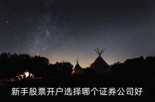 新手股票開(kāi)戶(hù)選擇哪個(gè)證券公司好