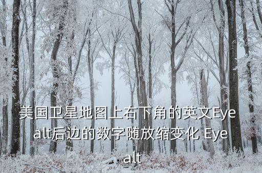 美國衛(wèi)星地圖上右下角的英文Eye alt后邊的數字隨放縮變化 Eye alt