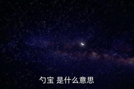 夥寶是什么意思，孖寶什么意思