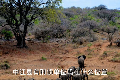 中江有什么機(jī)構(gòu)，中江國(guó)際有幾個(gè)會(huì)員單位