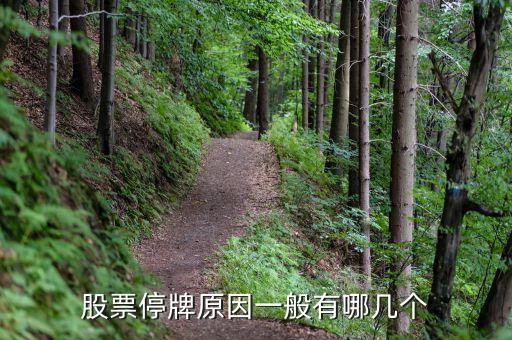 上工申貝為什么停牌，上工申貝出現(xiàn)缺口巨大后市如何
