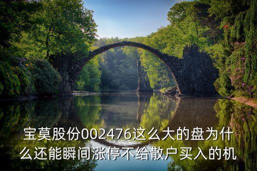 寶莫股份002476這么大的盤(pán)為什么還能瞬間漲停不給散戶買(mǎi)入的機(jī)