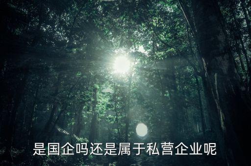 中船是什么企業(yè)，是國企嗎還是屬于私營企業(yè)呢