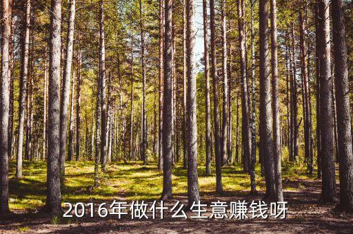 2016做什么能發(fā)財，2016年做什么生意賺錢呀