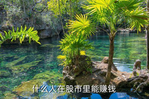 股市中什么人能賺到錢，目前在股市上賺錢的是些什么人