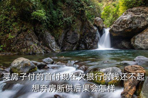 買房子付的首付現(xiàn)在欠銀行的錢還不起想棄房斷供后果會怎樣