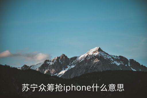 蘇寧眾籌什么意思，蘇寧眾籌是什么意思頭沒(méi)有回報(bào)