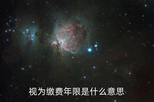 視為繳費(fèi)年限是什么意思