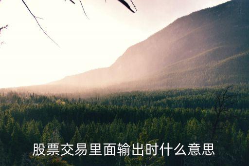股票交易里面輸出時什么意思