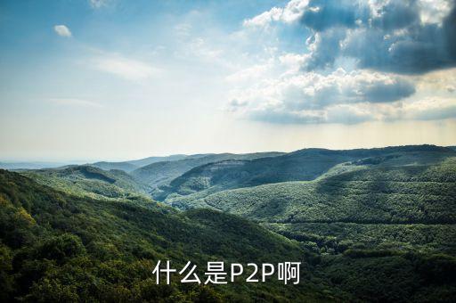 什么叫p2p平臺，什么是P2P啊