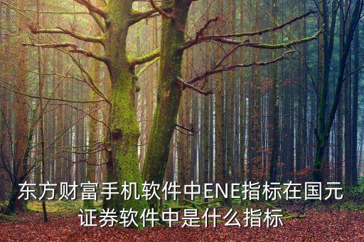 東方財(cái)富網(wǎng)ENE指標(biāo)是什么，股票中的ene是個(gè)怎樣的指標(biāo)怎樣在電腦上 設(shè)定