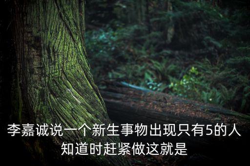 李嘉誠說的暗力是什么，李嘉誠究竟看到了什么可怕的地方