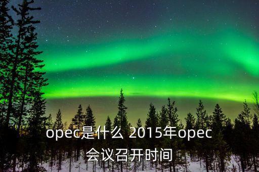 什么是opec會(huì)議，OPEC石油會(huì)議是什么時(shí)候召開啊石油價(jià)格會(huì)受影響嗎