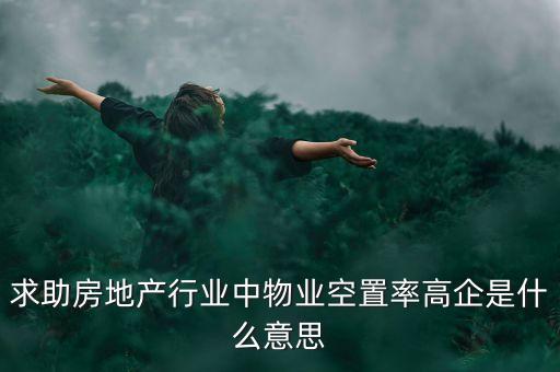 求助房地產行業(yè)中物業(yè)空置率高企是什么意思