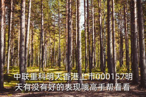 中聯(lián)重科明天香港上市000157明天有沒(méi)有好的表現(xiàn)哦高手幫看看