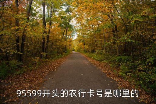 農(nóng)業(yè)銀行95599開頭的是什么卡，95599開頭是什么銀行的卡