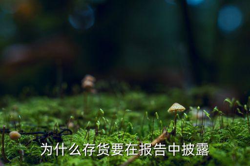 為什么存貨要在報告中披露