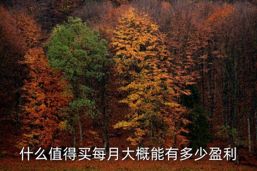 什么值得買如何盈利，這個(gè)季節(jié)擺夜市的話 買什么比較賺錢而且吸引路人