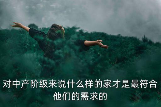 對(duì)中產(chǎn)階級(jí)來說什么樣的家才是最符合他們的需求的