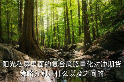 陽光私募里面的復(fù)合策略量化對(duì)沖期貨策略分別是什么以及之間的