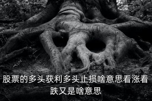 什么是多頭止損，多空平衡多頭獲利多頭止損是什么意思