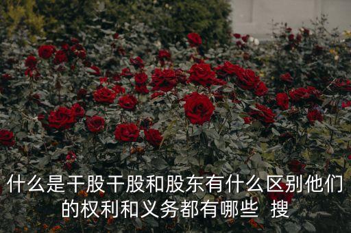 什么是干股干股和股東有什么區(qū)別他們的權利和義務都有哪些  搜