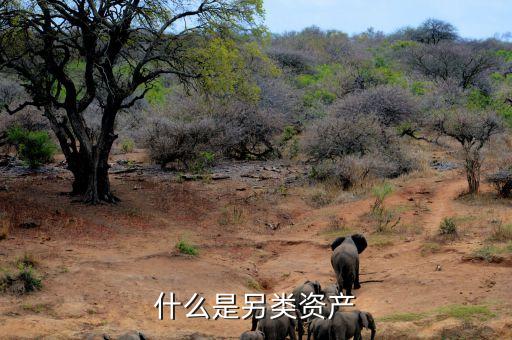 什么是另類(lèi)投資，哪些項(xiàng)目屬于另類(lèi)資產(chǎn)投資
