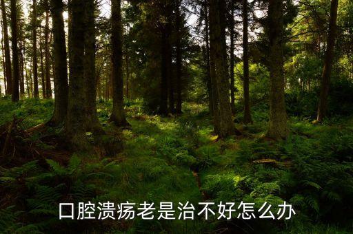云南咖啡豆在什么時候采摘，云南小?？Х仍趺闯砸髥?/></a></span><span id=