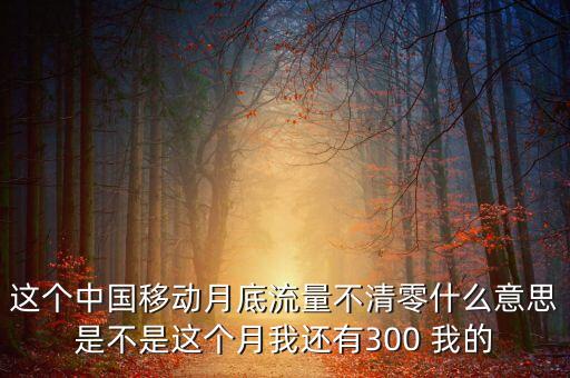 這個中國移動月底流量不清零什么意思是不是這個月我還有300 我的