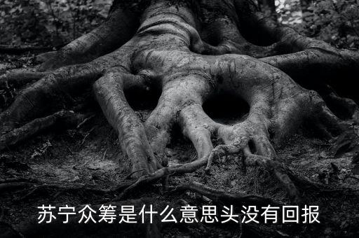 蘇寧眾籌是什么意思頭沒(méi)有回報(bào)