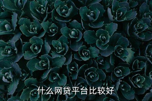 什么網(wǎng)貸平臺比較好