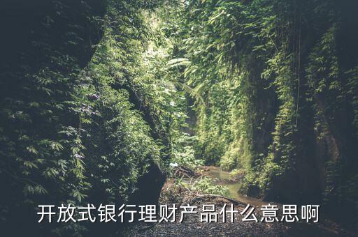 開放型理財產(chǎn)品是什么意思，理財開放式是什么意思