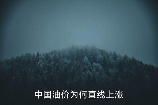 為什么油價(jià)，為什么油價(jià)會(huì)不斷的上升