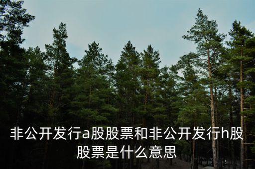 為什么發(fā)行h股，非公開(kāi)發(fā)行a股股票和非公開(kāi)發(fā)行h股股票是什么意思