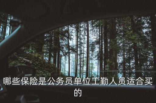公職人員買什么保險好，公務員應該買哪種商業(yè)保險比較好