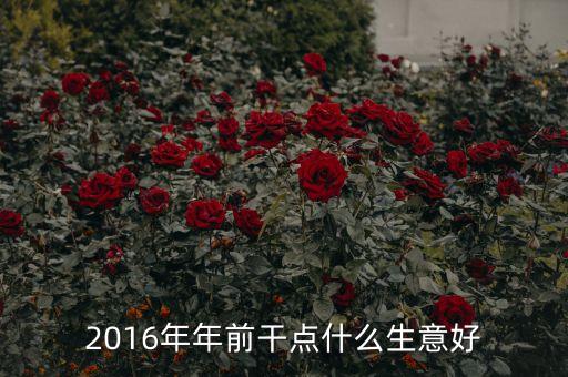 2016年年前干點(diǎn)什么生意好