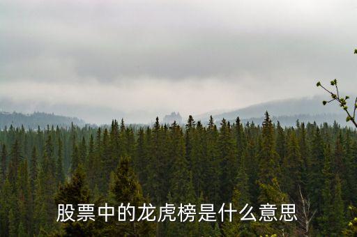 常見龍虎榜營業(yè)部是指什么，龍虎榜席位上顯示的證券營業(yè)部是指證卷公司買賣金額 還是指在這個營