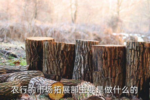 農行的市場拓展部主要是做什么的