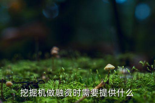 挖掘機做融資時需要提供什么