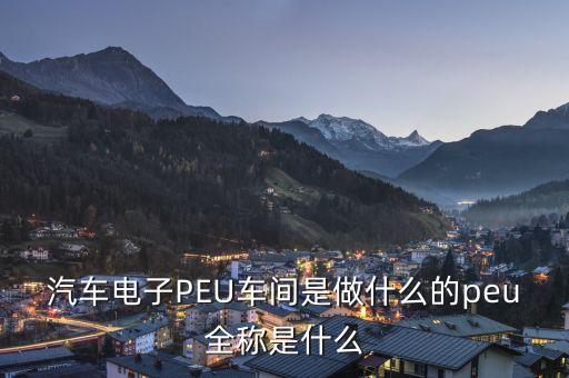 汽車(chē)電子PEU車(chē)間是做什么的peu全稱(chēng)是什么