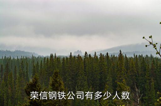 榮信電子有限公司什么時(shí)候成立，鞍山榮信電子怎么樣