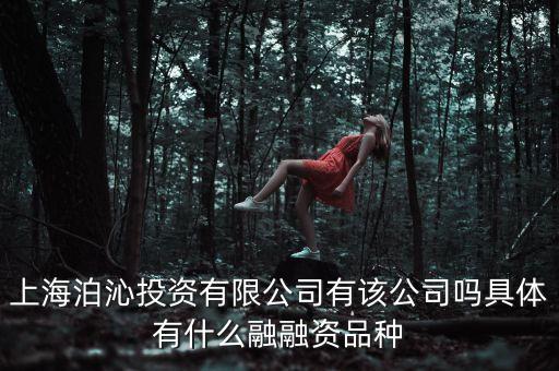 泊融資訊是做什么的，上海泊沁投資有限公司有該公司嗎具體有什么融融資品種
