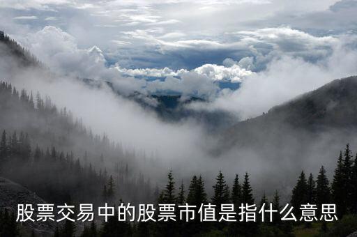 什么叫股票市值，股票市值是什么意思