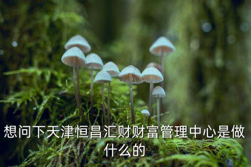 財富管理中心是什么，想問下天津恒昌匯財財富管理中心是做什么的