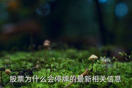 002437為什么停牌，股票為什么停牌