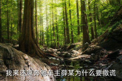 我來(lái)還原奔馳車主薛某為什么要撒謊