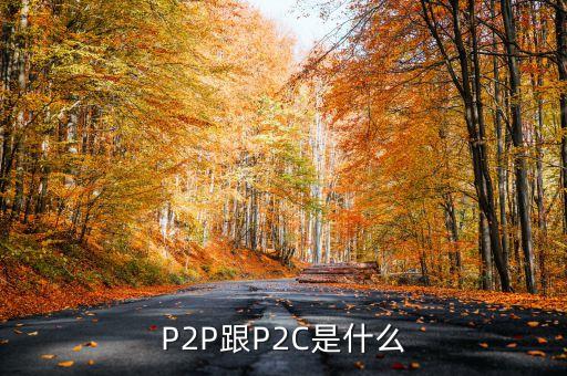 p2c平臺是什么，什么是P2P什么是P2C