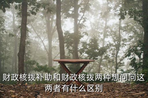 財(cái)政核撥補(bǔ)助和財(cái)政核撥兩種想問(wèn)問(wèn)這兩者有什么區(qū)別